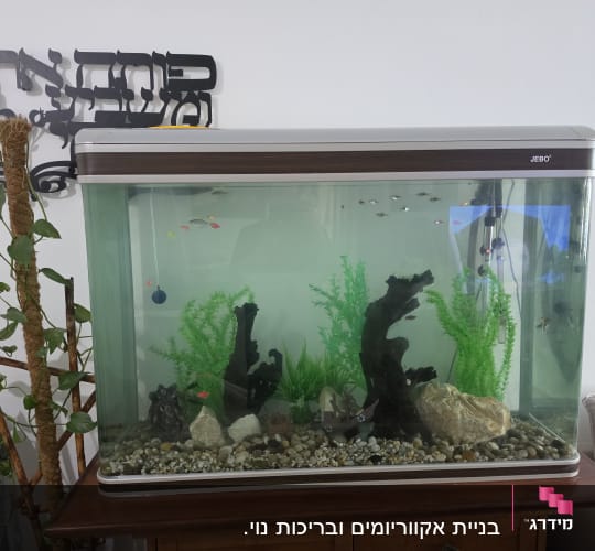 אקווריום ביתי מעוצב עם דגים, צמחייה, גזעי עץ ואבנים
